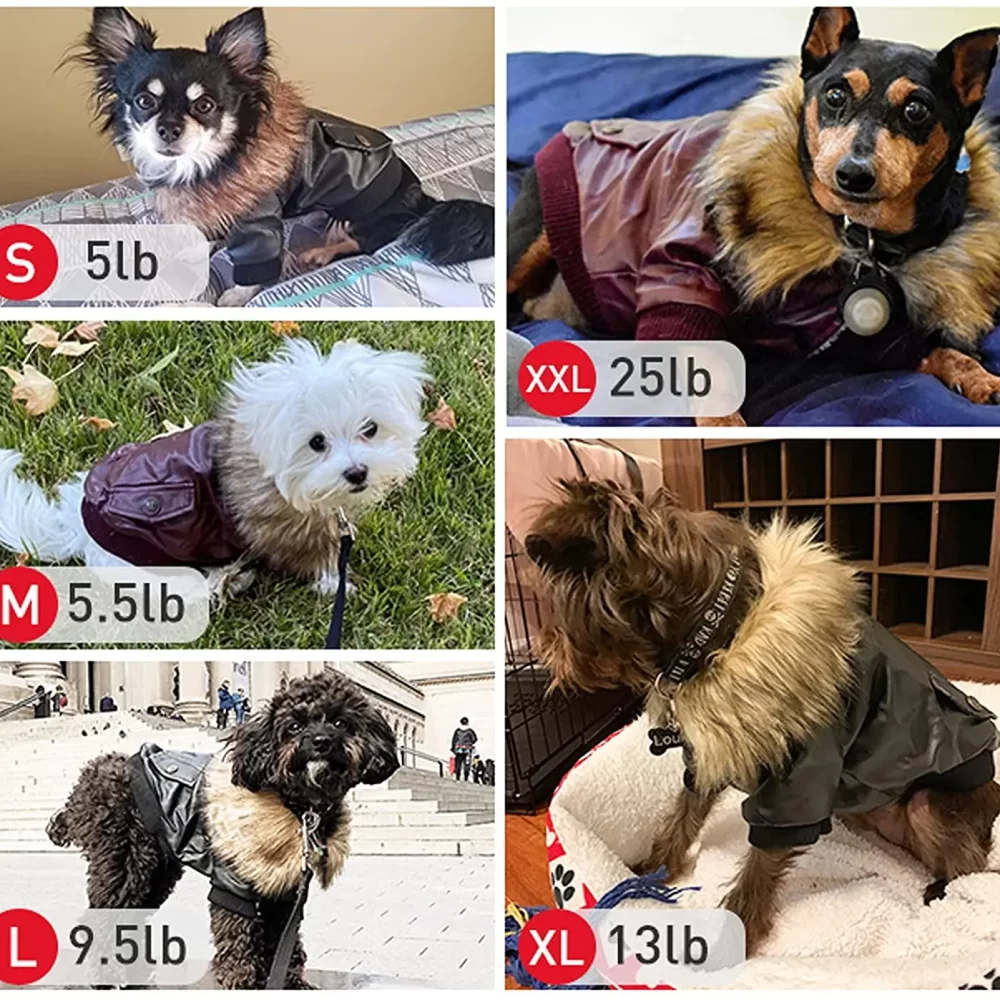 ATUBAN Leather Dog Coats Waterproof Dog Winter Coat Puppy Jackets for Small to Medium Dogs clothes for pets dog clothes winter - Image 5
